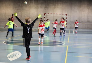 开云体育app官网下载地址-高光时刻：本赛季五大联赛的经典比赛瞬间，五大联赛上赛季排名