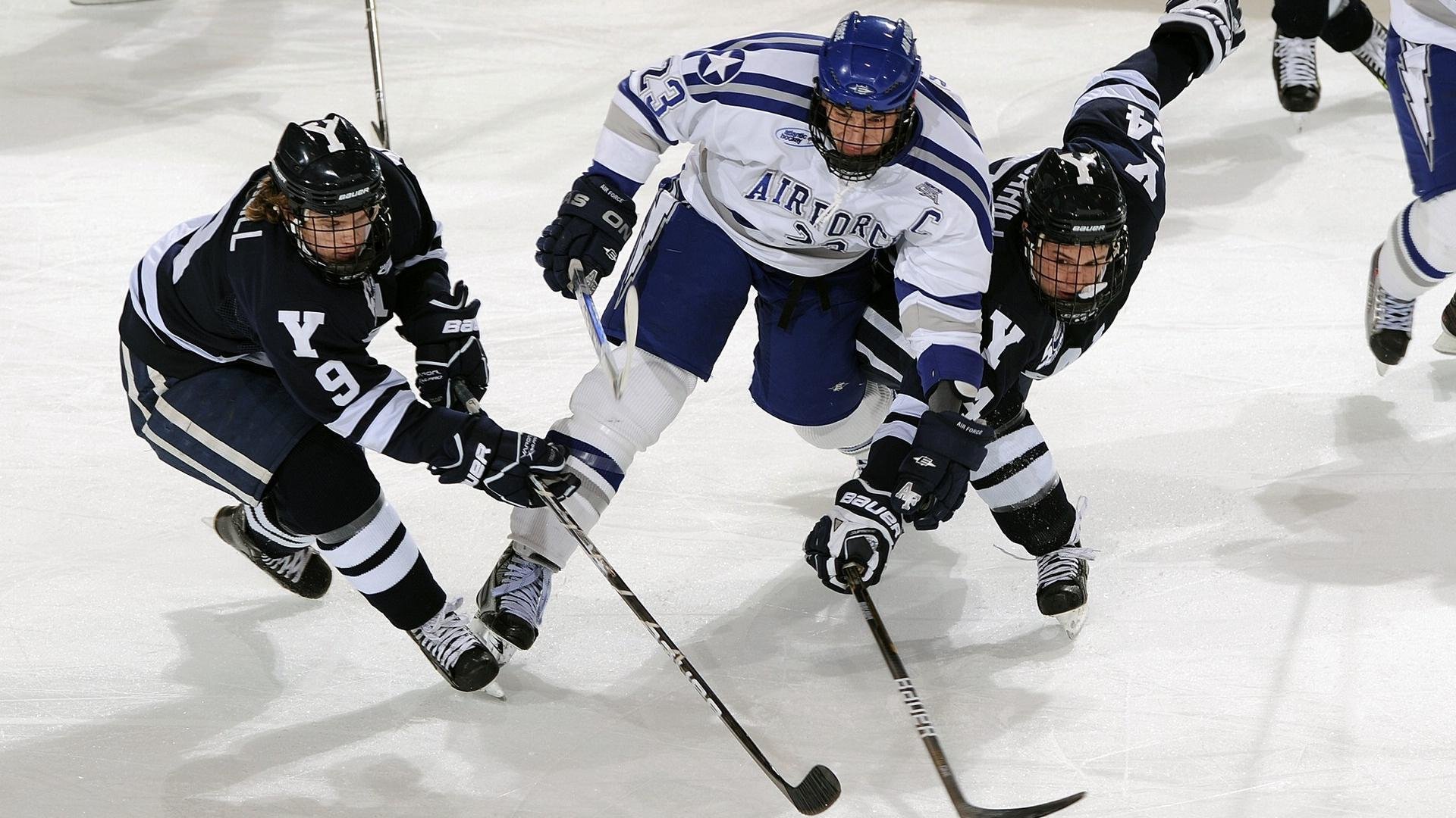 高校体育设施建设与管理优化研究，高校体育工作实施方案